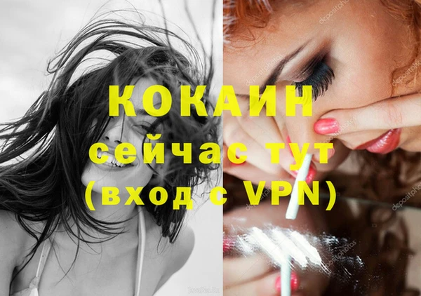 дмт Магас