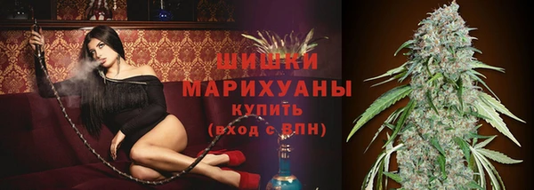 дмт Магас