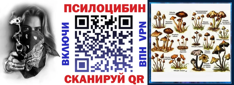 Галлюциногенные грибы Psilocybe  Устюжна 